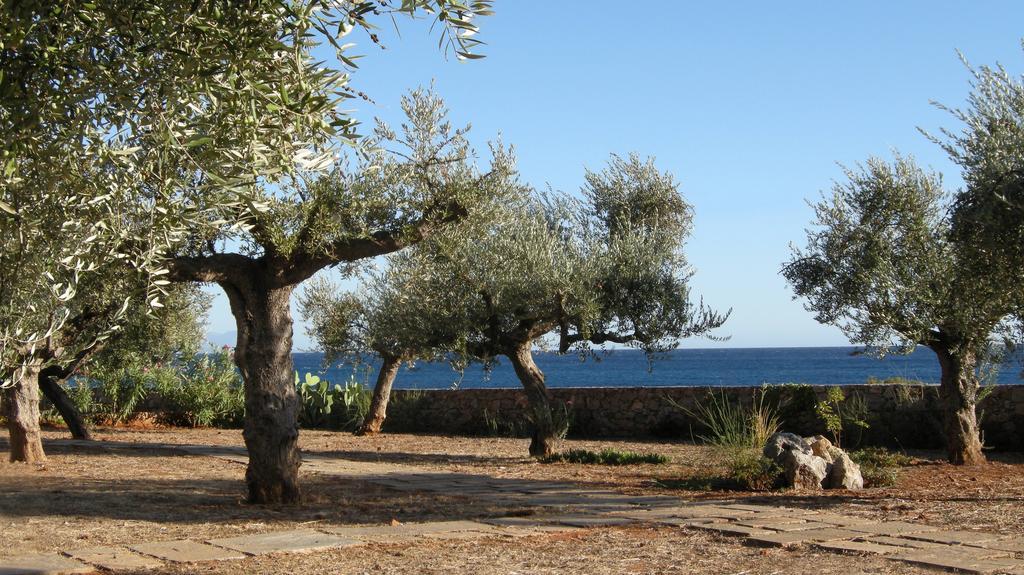 Salvia Kardamyli Exterior foto